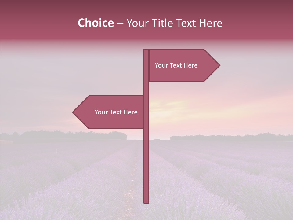 Dusk Perfume Field PowerPoint Template