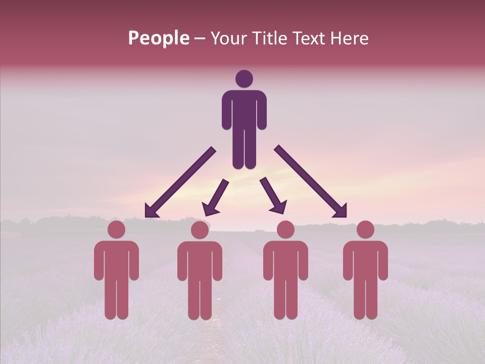 Dusk Perfume Field PowerPoint Template