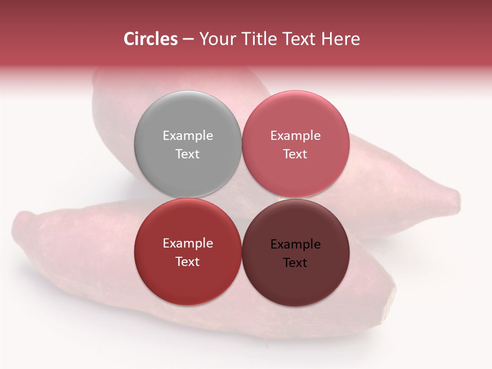 Root Crop Autumn Taste PowerPoint Template