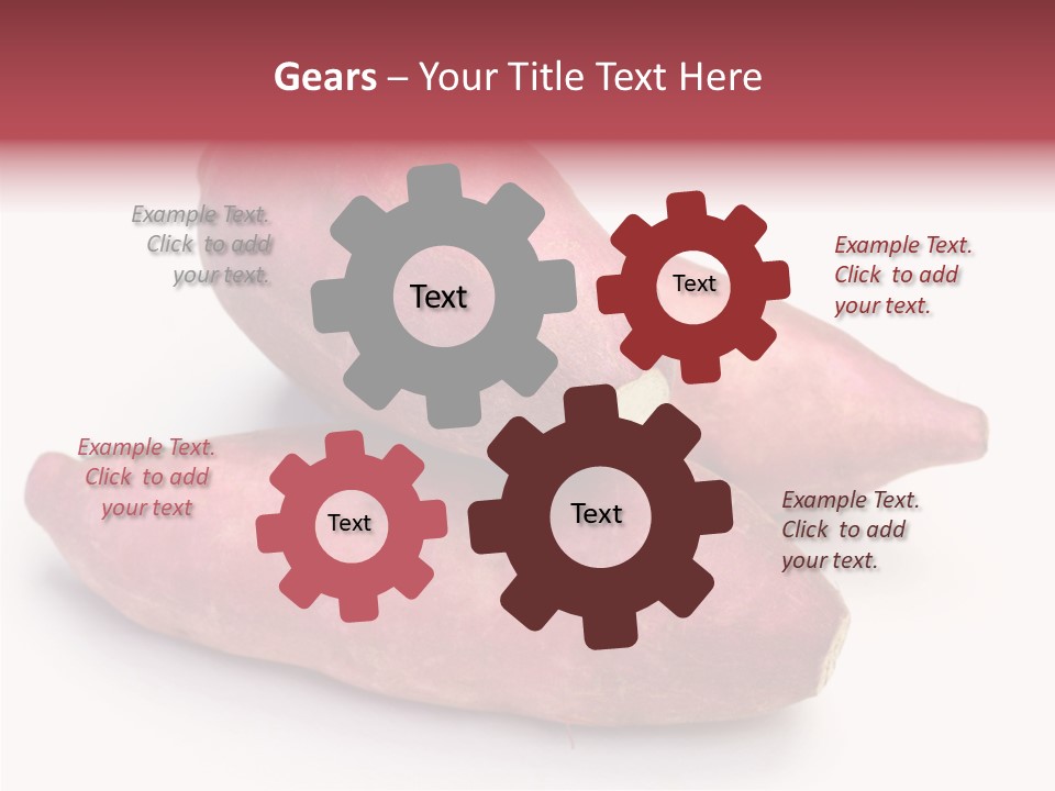 Root Crop Autumn Taste PowerPoint Template