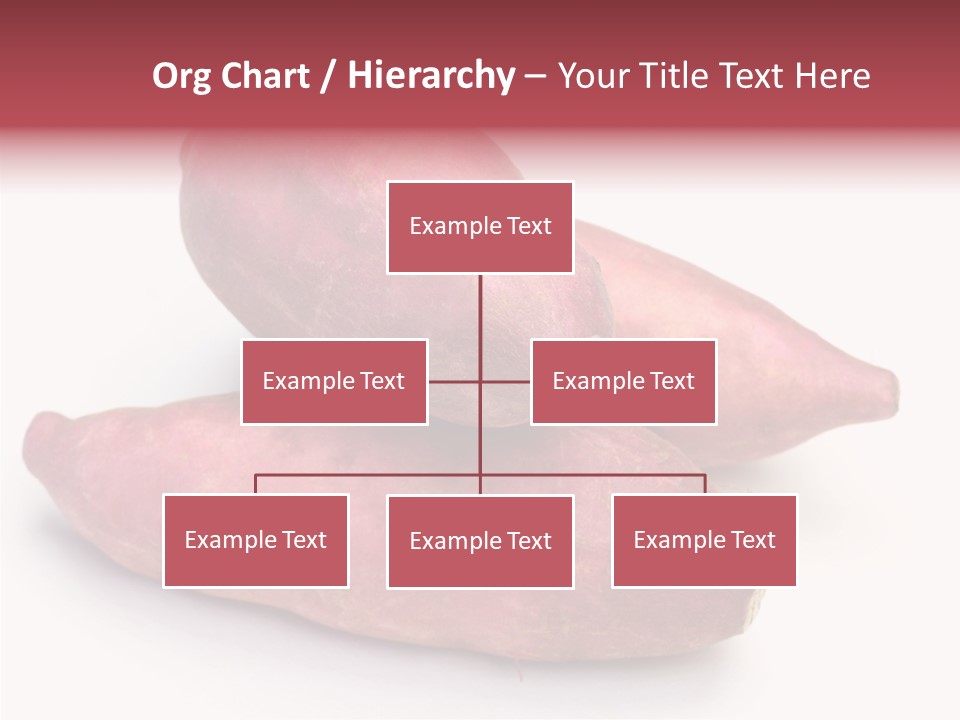 Root Crop Autumn Taste PowerPoint Template