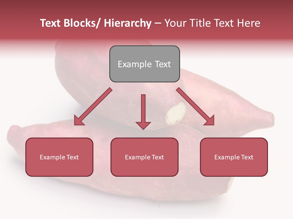 Root Crop Autumn Taste PowerPoint Template