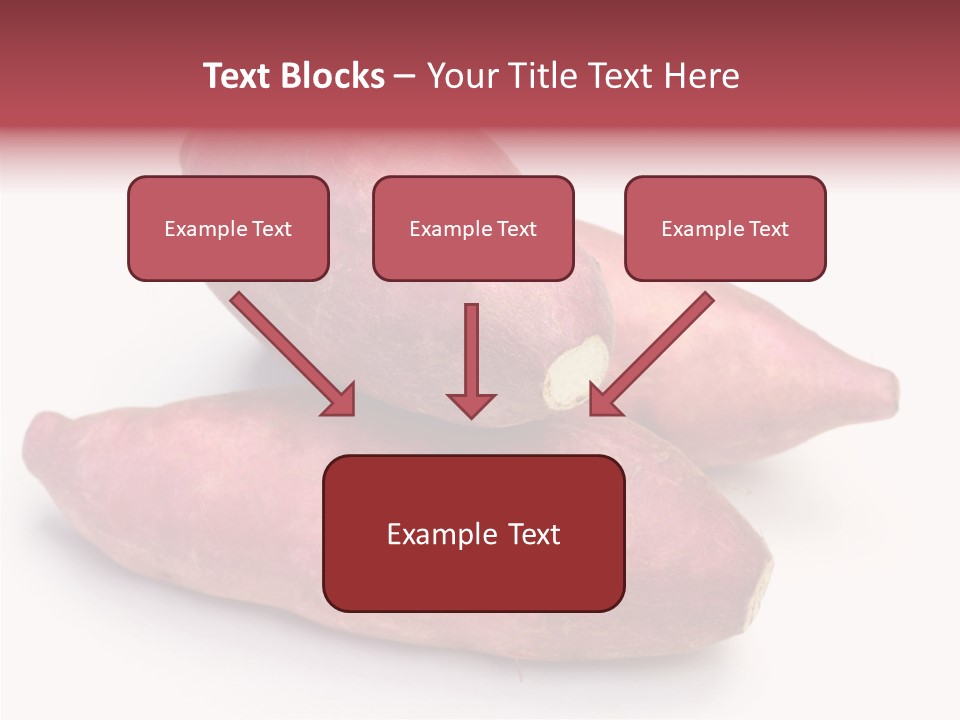Root Crop Autumn Taste PowerPoint Template