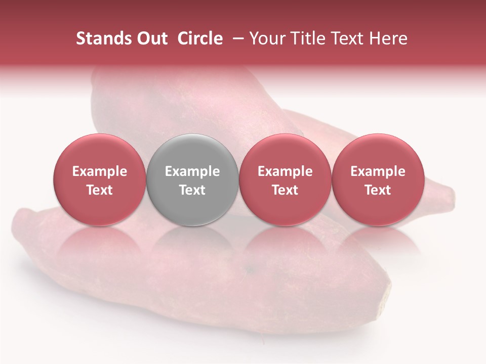 Root Crop Autumn Taste PowerPoint Template