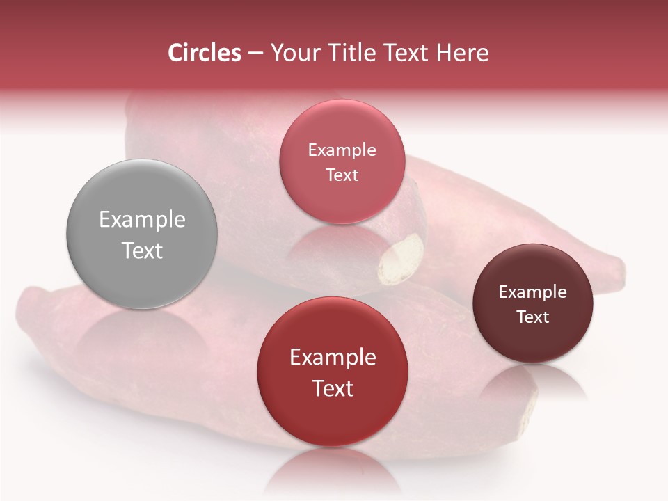 Root Crop Autumn Taste PowerPoint Template