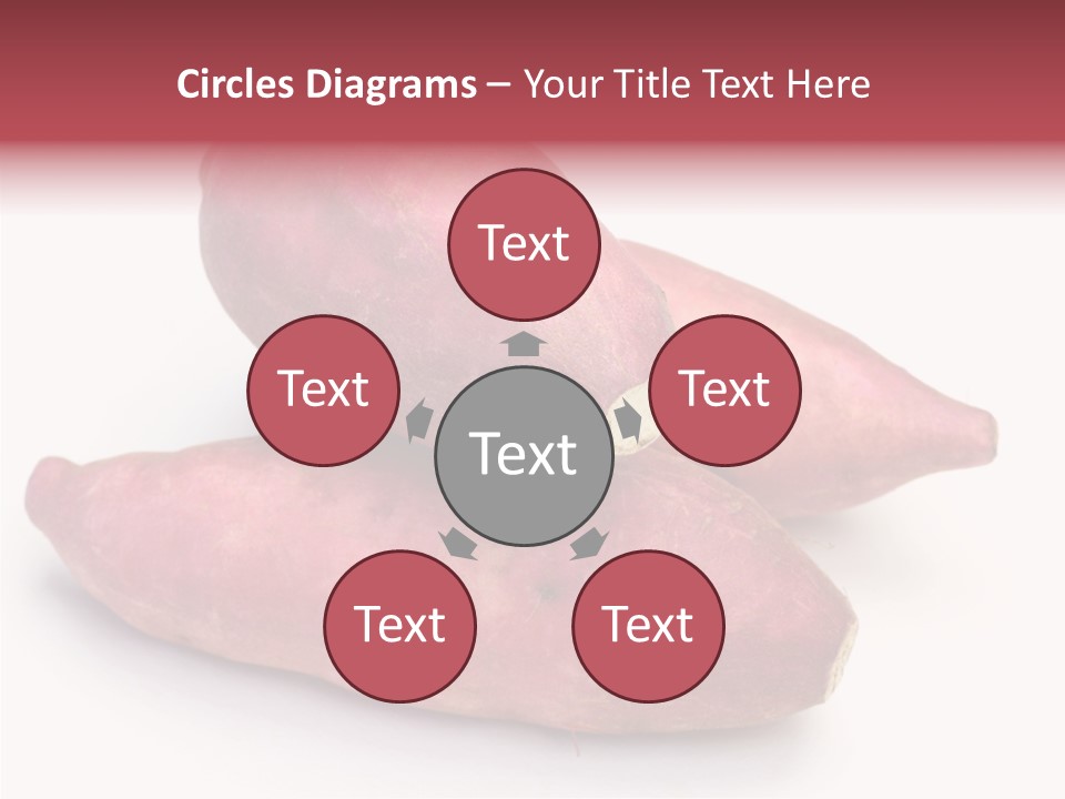 Root Crop Autumn Taste PowerPoint Template