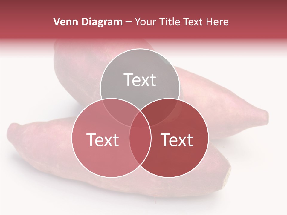 Root Crop Autumn Taste PowerPoint Template