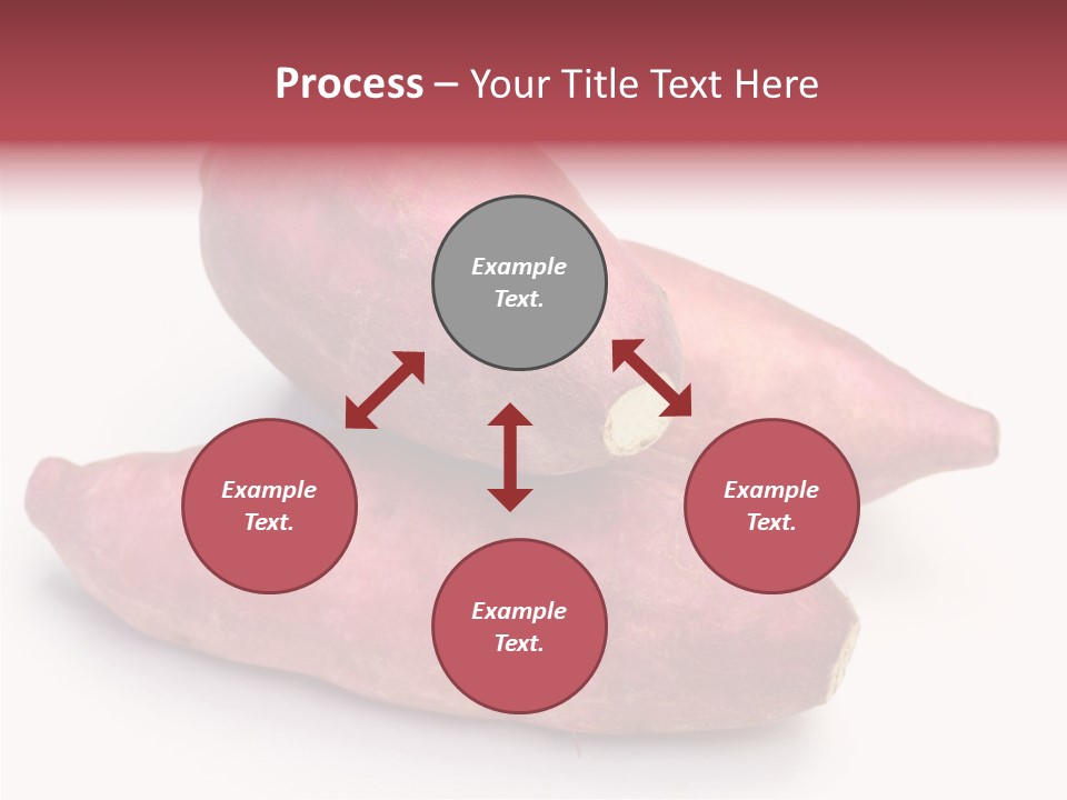 Root Crop Autumn Taste PowerPoint Template