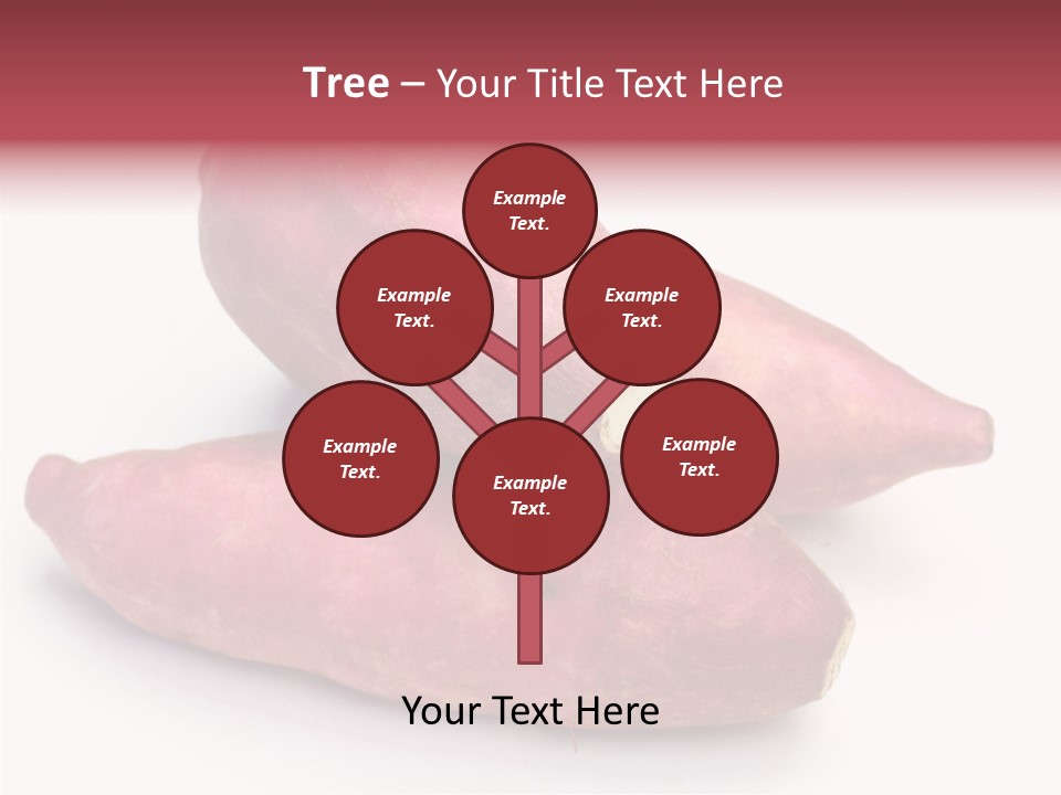 Root Crop Autumn Taste PowerPoint Template