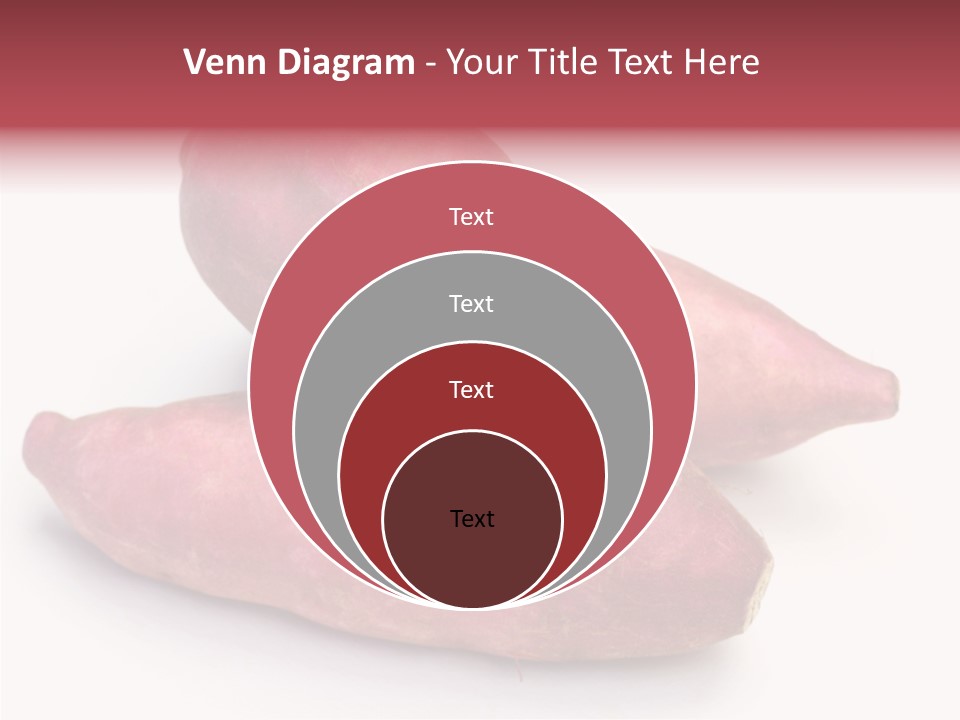 Root Crop Autumn Taste PowerPoint Template