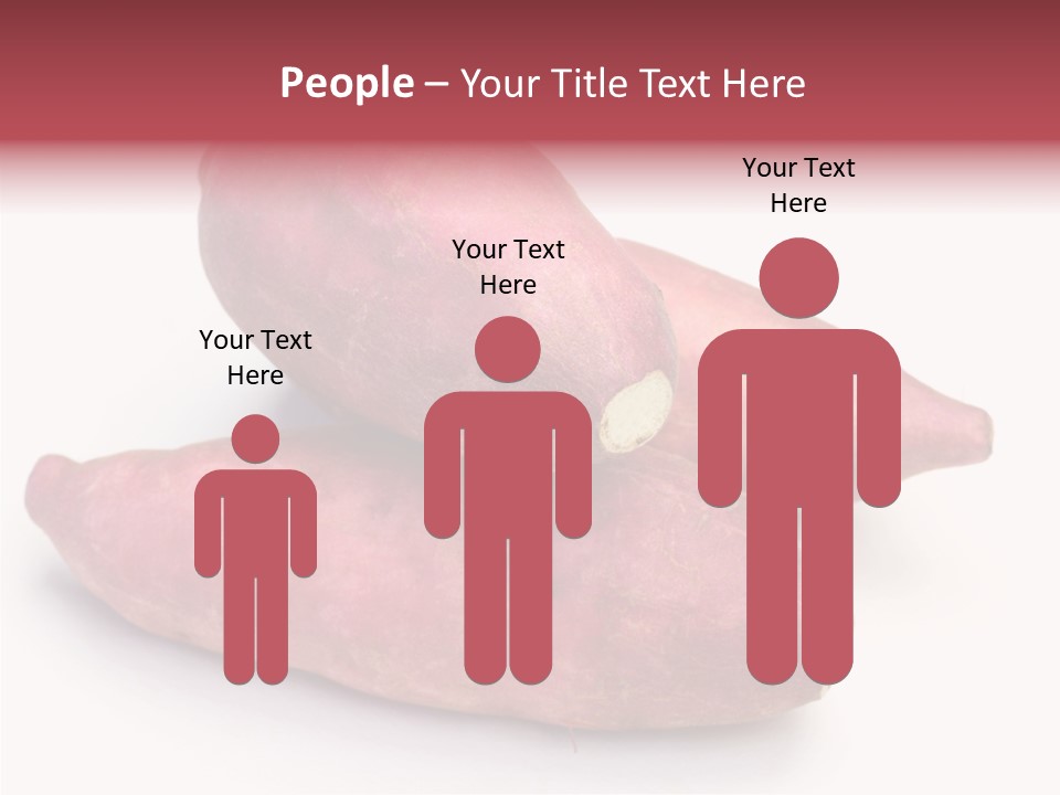 Root Crop Autumn Taste PowerPoint Template