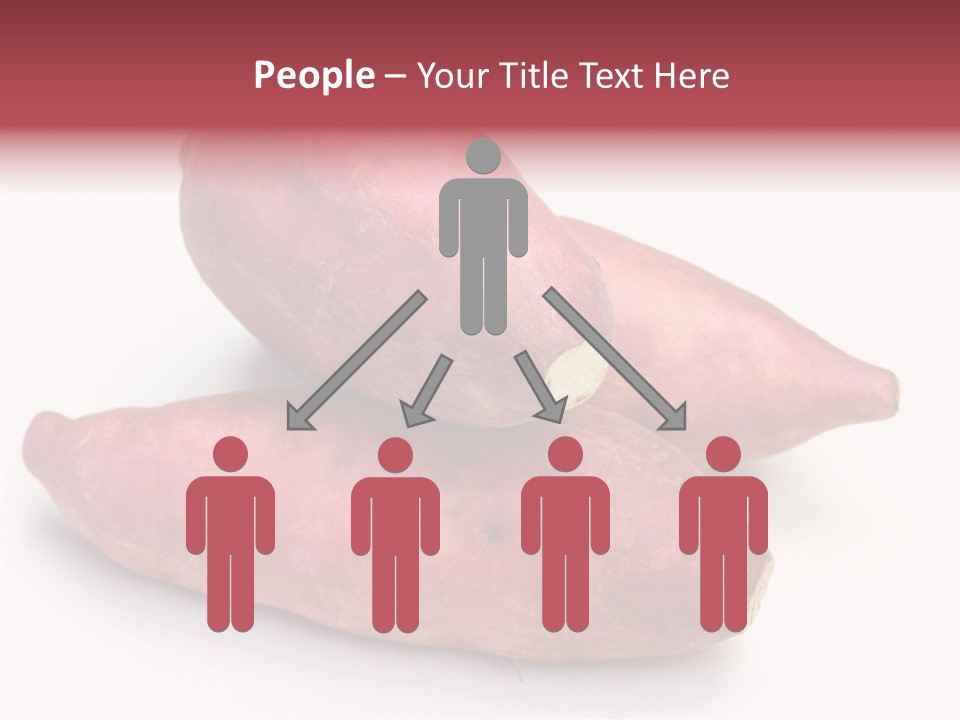 Root Crop Autumn Taste PowerPoint Template