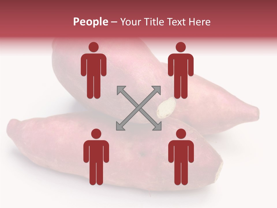 Root Crop Autumn Taste PowerPoint Template