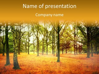 Peace Green Land PowerPoint Template