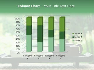 Hot Ceramic Tray PowerPoint Template