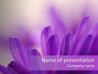 Macro Violet Lush PowerPoint Template