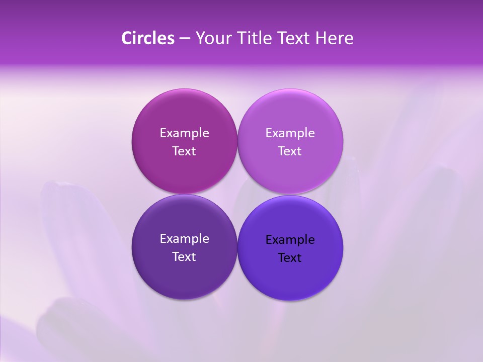 Macro Violet Lush PowerPoint Template