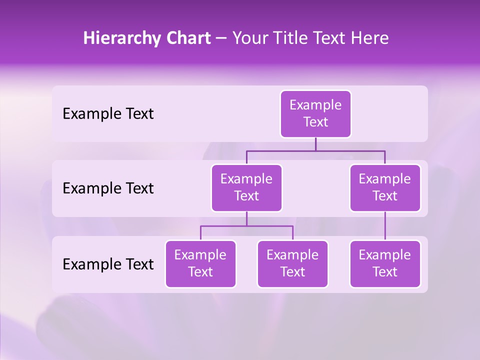 Macro Violet Lush PowerPoint Template