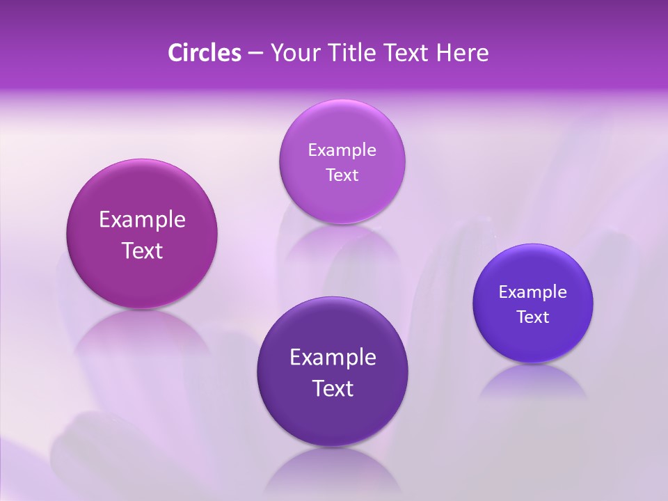 Macro Violet Lush PowerPoint Template