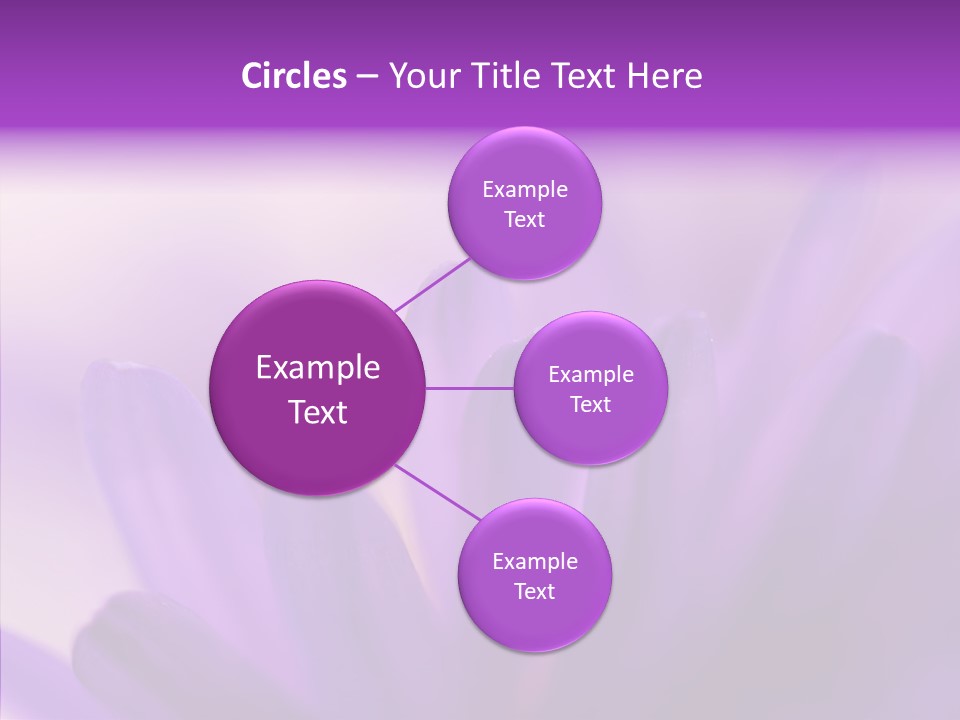 Macro Violet Lush PowerPoint Template