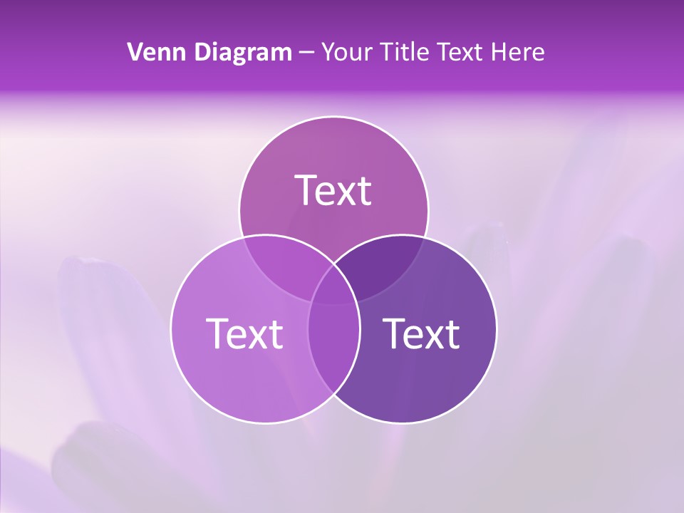 Macro Violet Lush PowerPoint Template