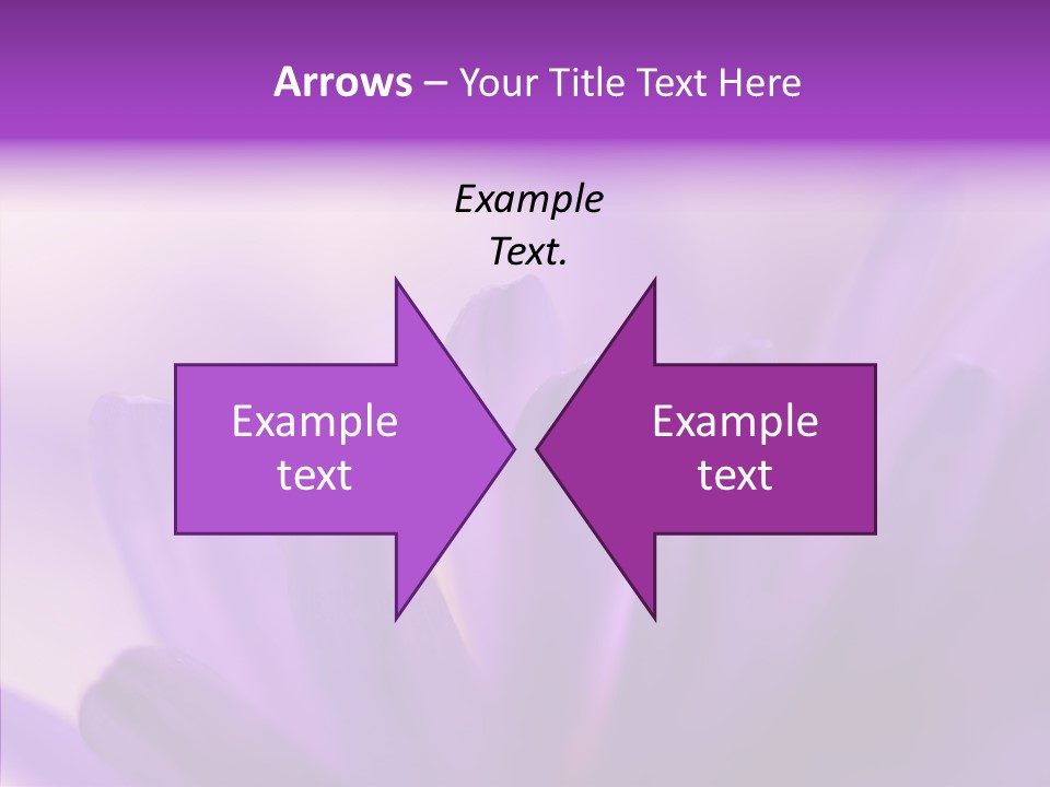 Macro Violet Lush PowerPoint Template