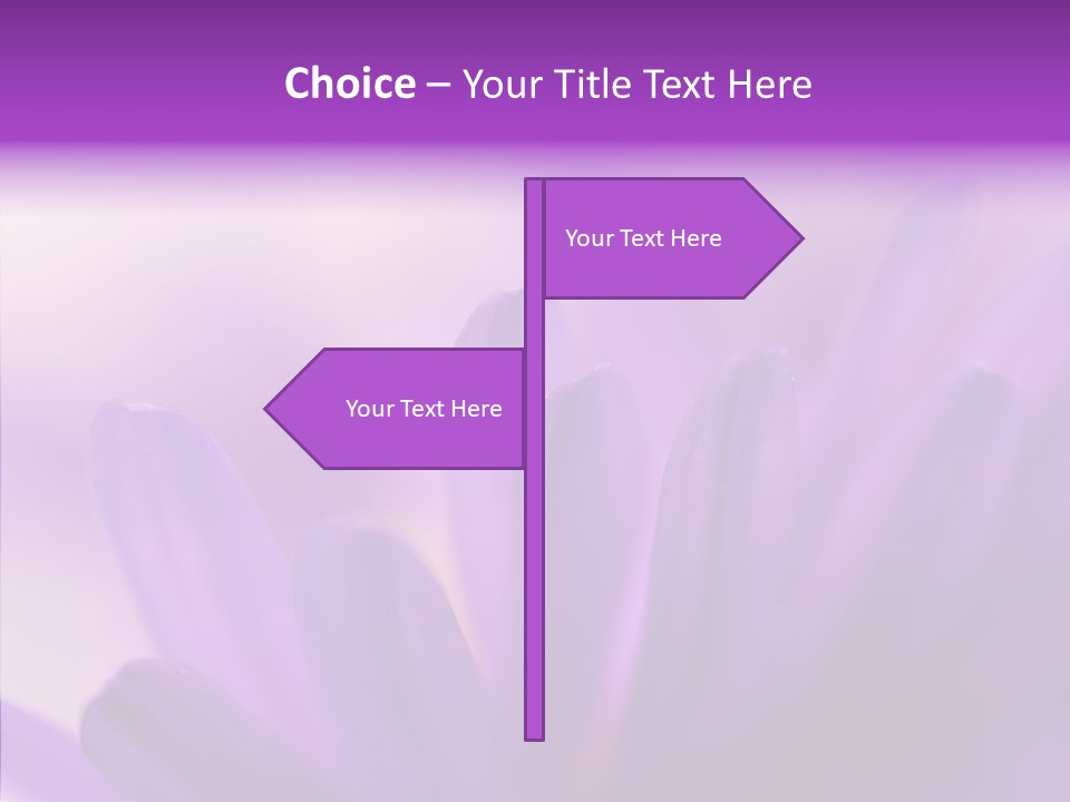 Macro Violet Lush PowerPoint Template