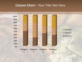 Steak Garnish Potatoes PowerPoint Template