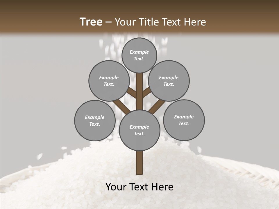 Box Rice Asian PowerPoint Template