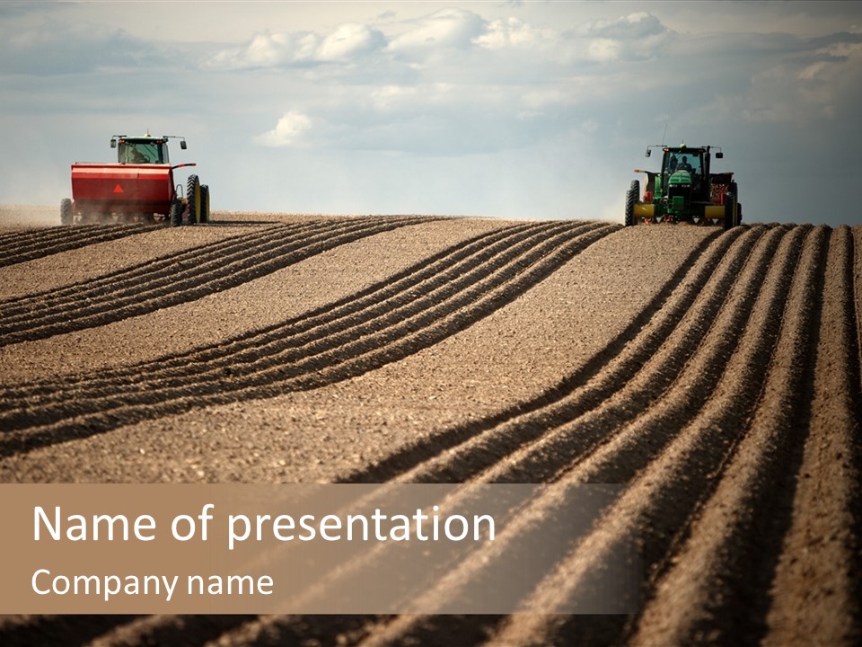Agricultural Pattern Sow PowerPoint Template
