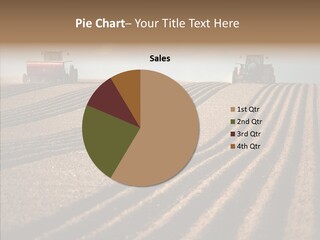 Agricultural Pattern Sow PowerPoint Template