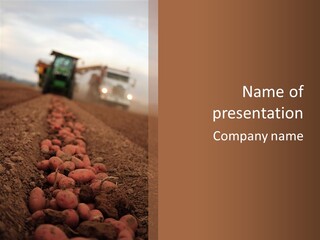 Potato Crops Dusty PowerPoint Template