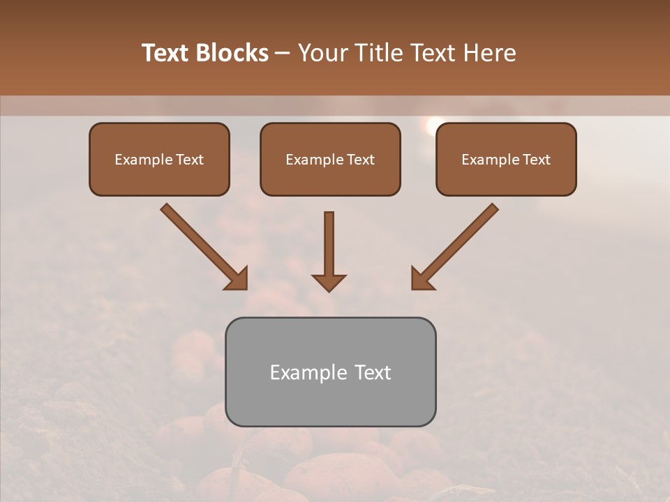 Potato Crops Dusty PowerPoint Template