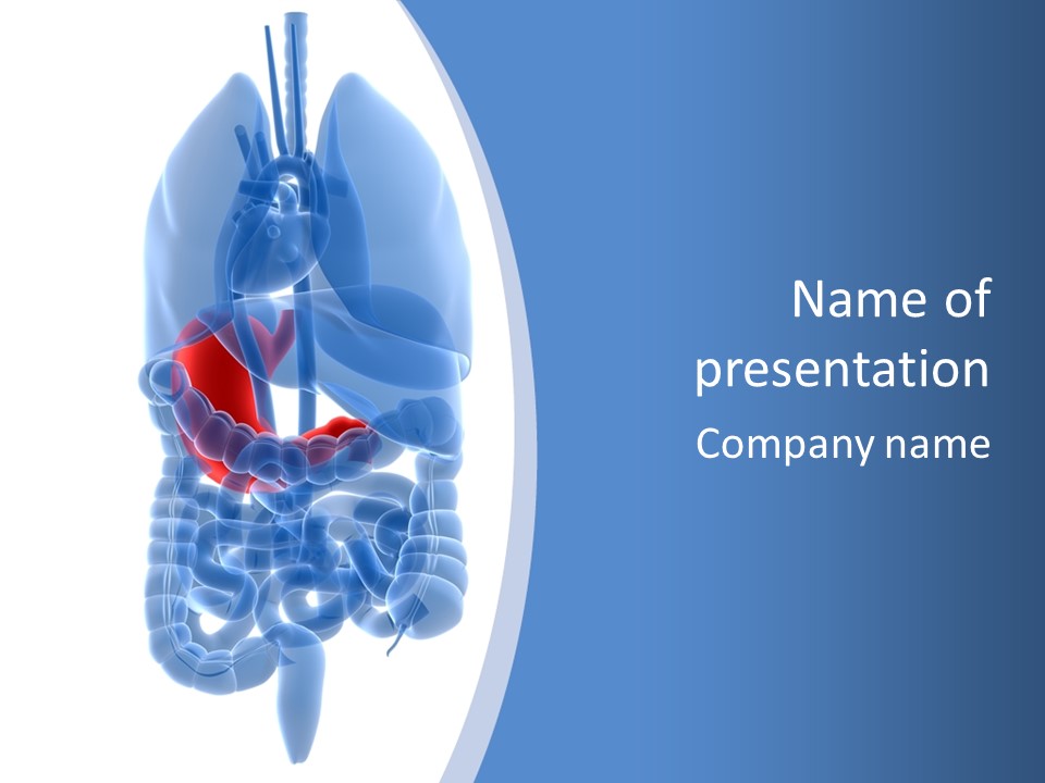 Belly Painful Biology PowerPoint Template