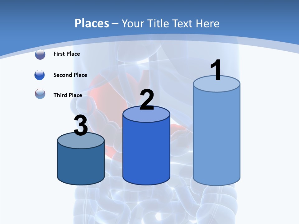 Belly Painful Biology PowerPoint Template