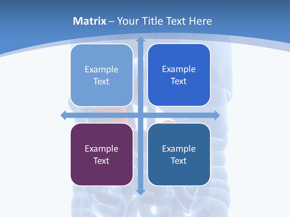 Belly Painful Biology PowerPoint Template