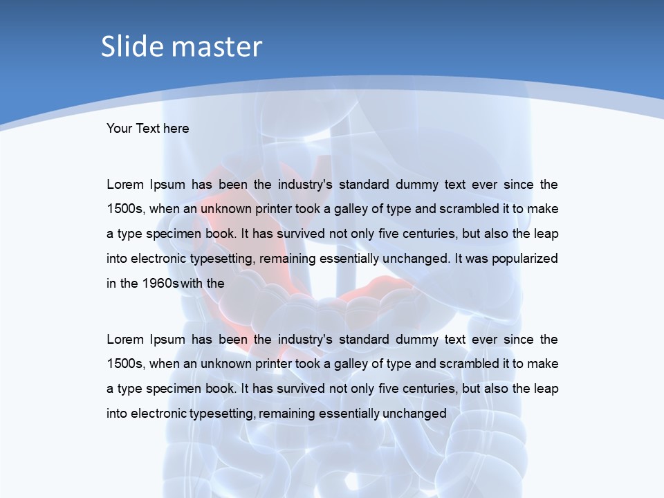 Belly Painful Biology PowerPoint Template