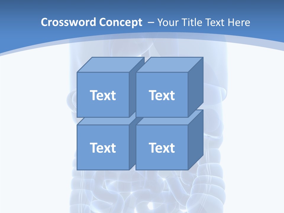 Belly Painful Biology PowerPoint Template