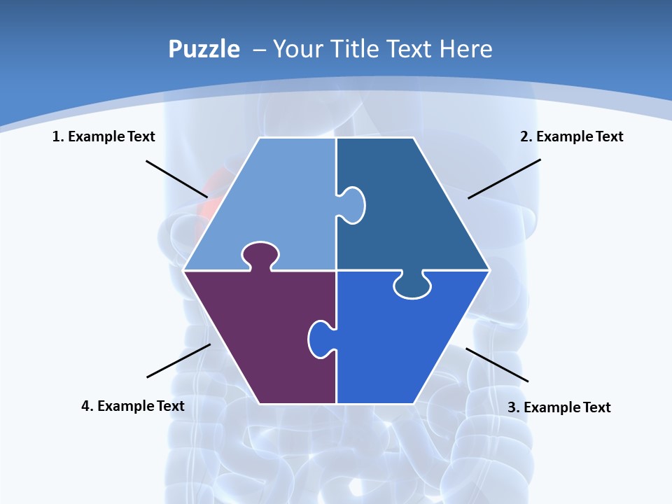 Belly Painful Biology PowerPoint Template