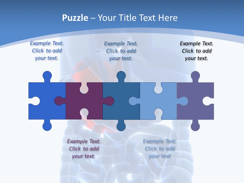 Belly Painful Biology PowerPoint Template