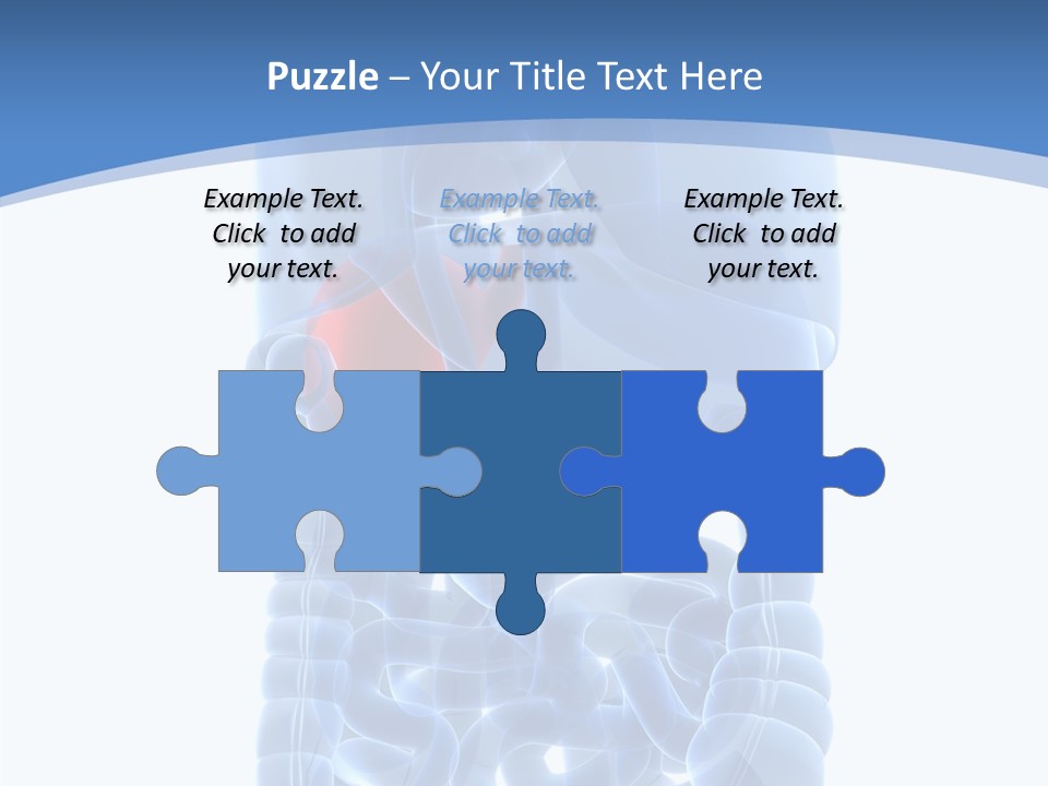 Belly Painful Biology PowerPoint Template