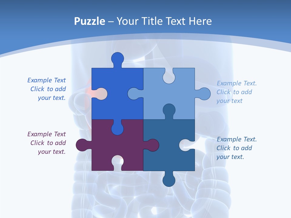 Belly Painful Biology PowerPoint Template