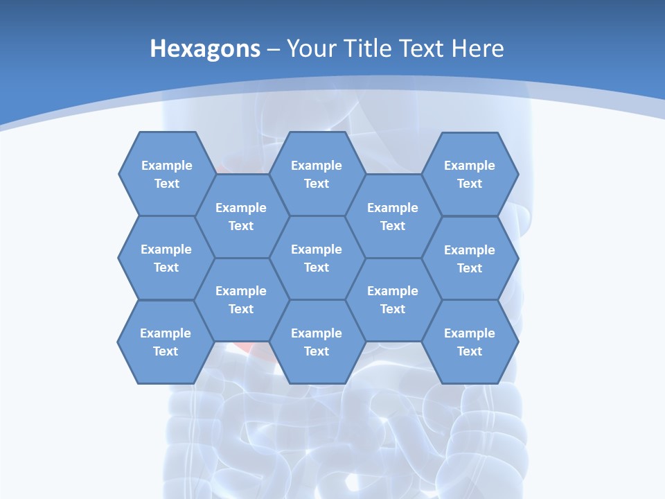 Belly Painful Biology PowerPoint Template