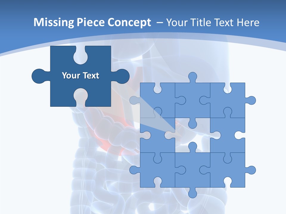 Belly Painful Biology PowerPoint Template