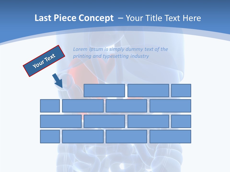 Belly Painful Biology PowerPoint Template