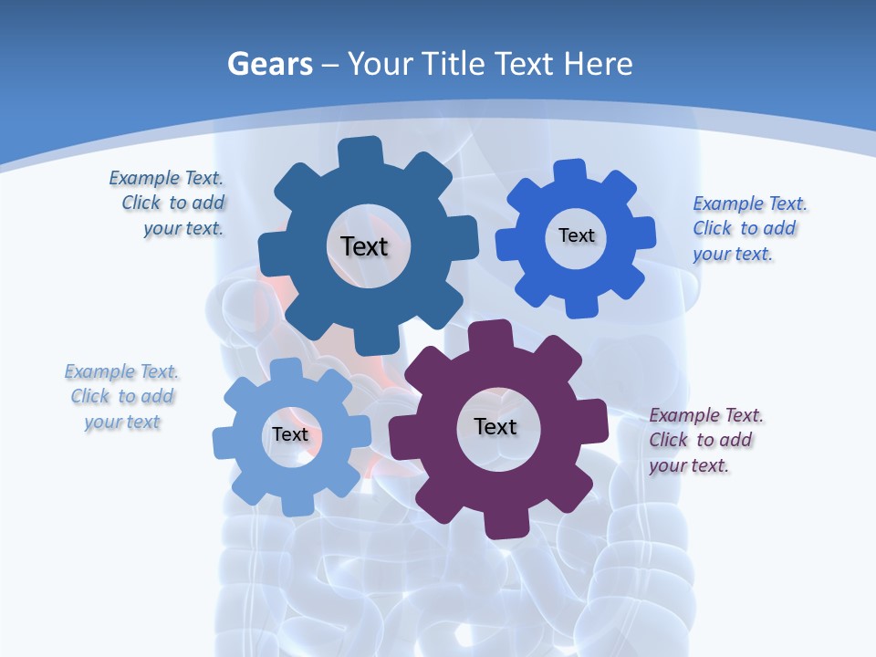 Belly Painful Biology PowerPoint Template