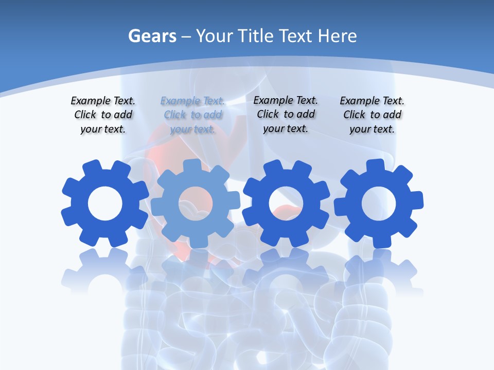 Belly Painful Biology PowerPoint Template