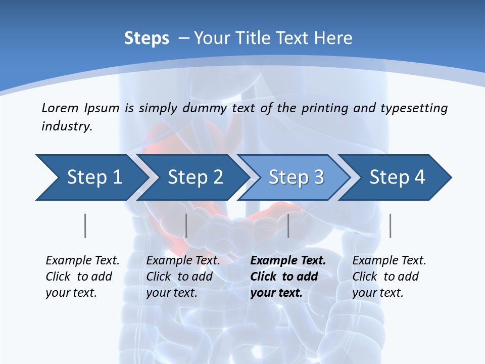 Belly Painful Biology PowerPoint Template
