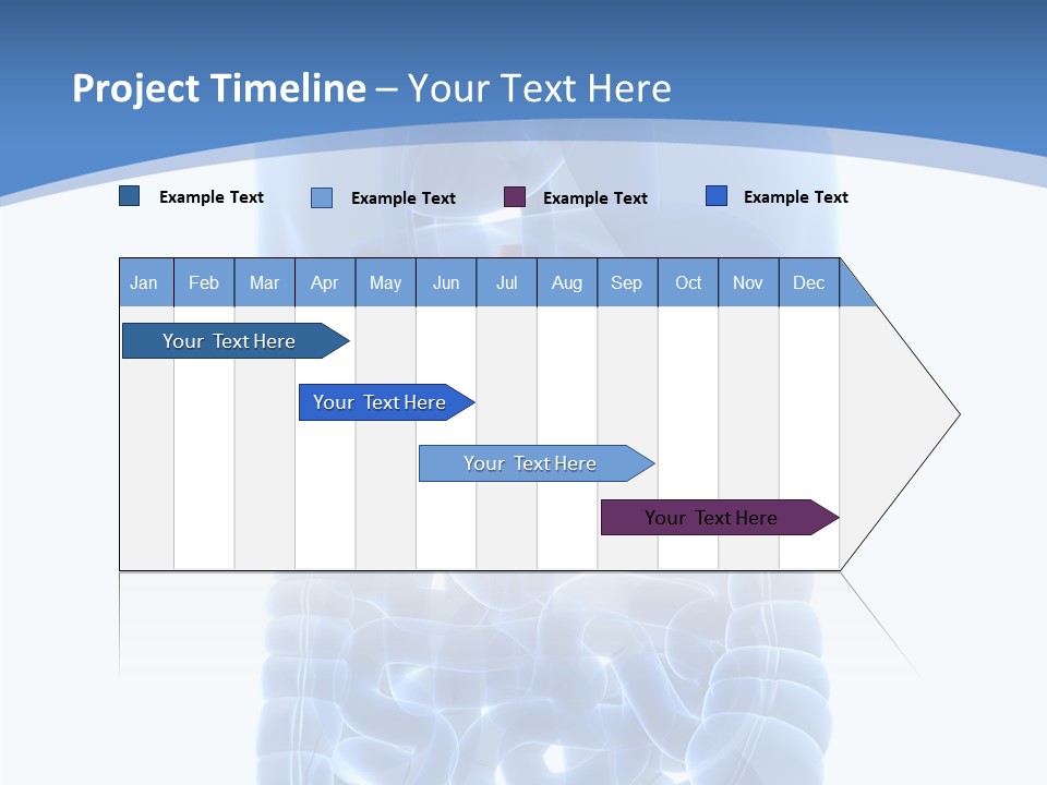 Belly Painful Biology PowerPoint Template