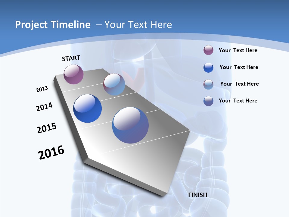 Belly Painful Biology PowerPoint Template